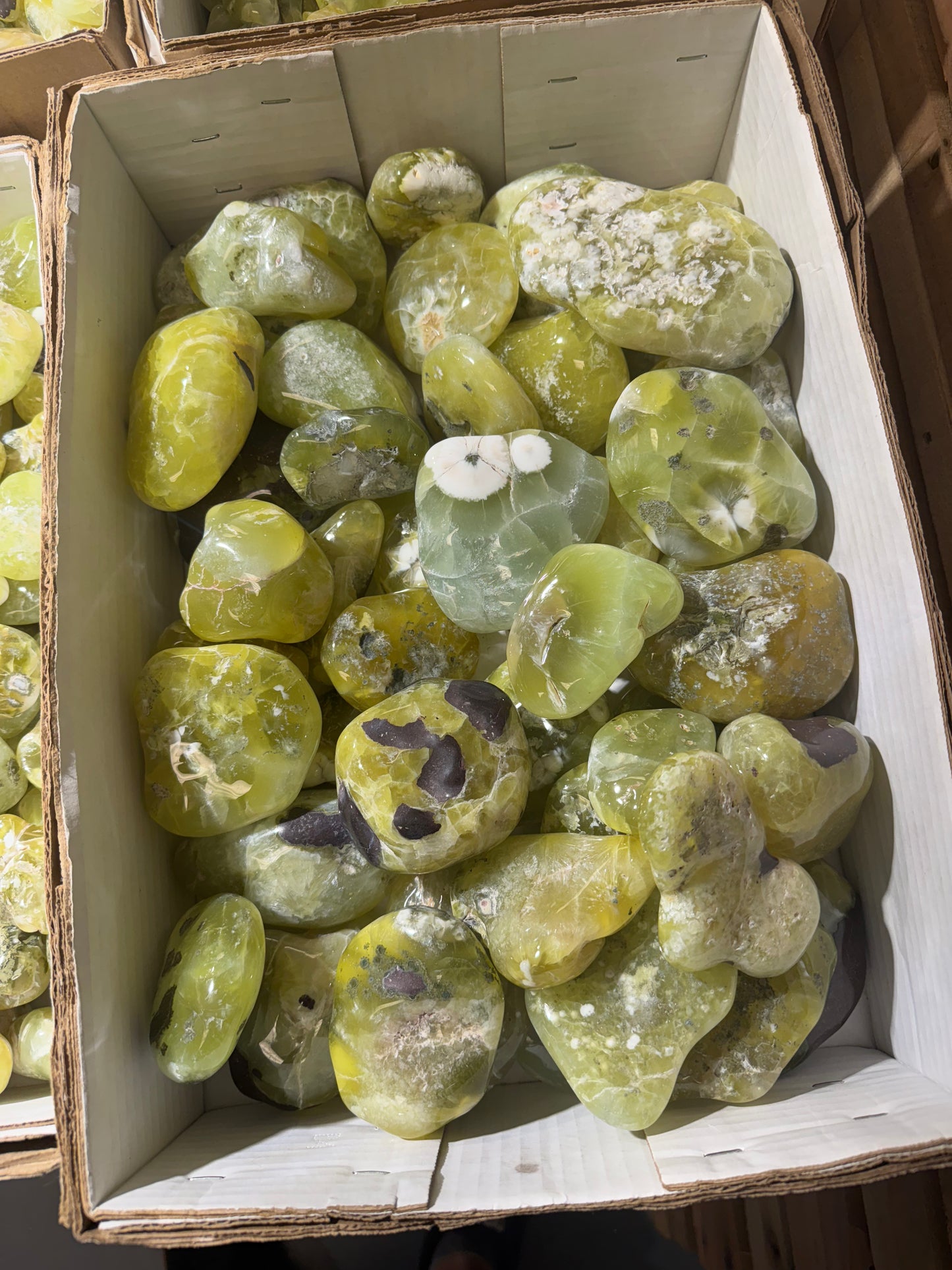 EarthWorks Mystery Box
